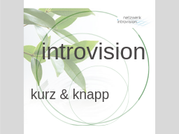 Webinar: Introvision - kurz und knapp. Eine Einführung