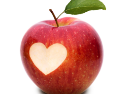 Webinar: 7 Schritte zur neuen Liebe - Das Video