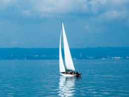 Webinar: Coaching - was bringt das?