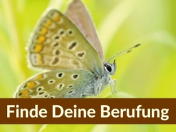 Webinar: Finde Deine Berufung - Die 5 Geheimnisse