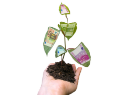 Webinar: Unternehmen - Chancen und Risiken nach Branchen