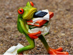 Webinar: Stress? - und tschüß !!