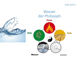 Webinar: TCM Teil 5 von 6: Wasser - der Philosoph