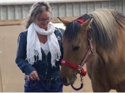 Webinar: Rootfinder® meets Horsesense / Business-Ladies