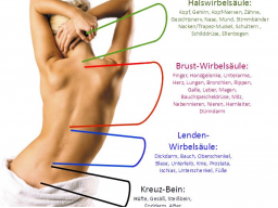 Webinar: Rückenschmerzen? - Ursache und Wirkung