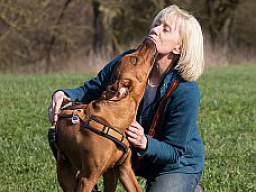 Webinar: Mentaltraining für Hundebesitzer