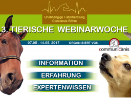 Webinar: Equines Multiorgan Dysfunktionssyndrom | Referentin Conny Röhm