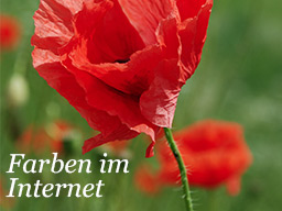 Webinar: Die richtigen Farben für Deine Website