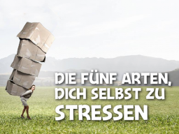 Webinar: Die fünf Arten dich selbst zu stressen