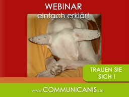 Webinar: sicher im Webinar - (Funktionen erklärt)