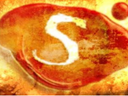 Webinar: The Secret Workshop Mentaltraining