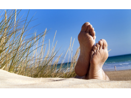 Webinar: Funktionierst Du noch - oder lebst Du schon