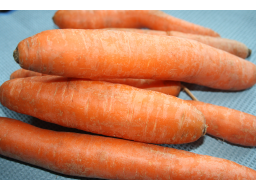 Webinar: Karotine - bunt und gesund