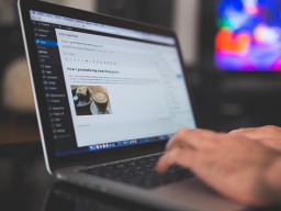 Webinar: Kostenlose Webseite mit WordPress erstellen