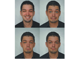 Webinar: Mikroexpressionen! Warum treten Sie auf, wie kann man Sie erkennen?