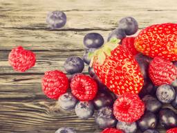 Webinar: Krebsprävention durch vegane Ernährung