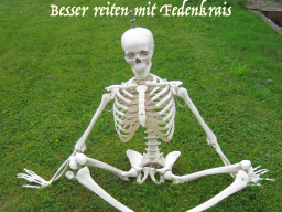 Webinar: Feldenkrais Online "Beckenuhr"
