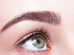 Webinar: Webinar zum Augenbrauenstylist / Augenbrauenverdichtung / Browextensions " PRAXIS "