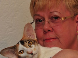 Webinar: Wenn die Katze älter wird