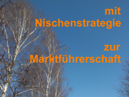 Webinar: vom Kleinunternehmen zum Marktführer