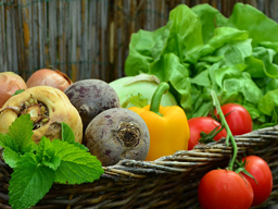 Webinar: Grundsätze der veganen Ernährung