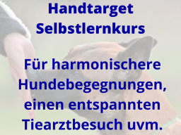 Webinar: Handtarget - Informationen zum Selbstlernkurs