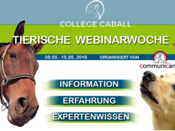Webinar: Pferde gesund füttern (Angélique Behrens)