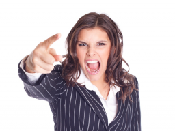 Webinar: Stress - mein Feind oder Freund?