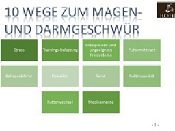 Webinar: Palpations- und Prävalenzdiagnostik von Magengeschwüren beim Pferd - Teil 1