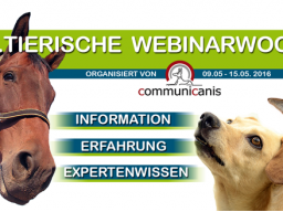 Webinar: Heilkräuter für Hunde (Referentin Ute Wadehn)
