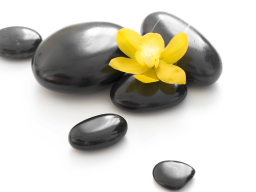 Webinar: Berufung leben - 60 Tage!
