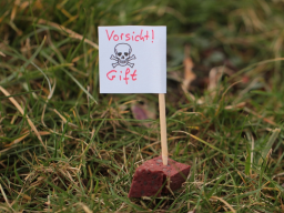 Webinar: Anti Giftköder Training - Info Webinar