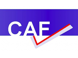 Webinar: Führungskräfteauswahl mit CAF