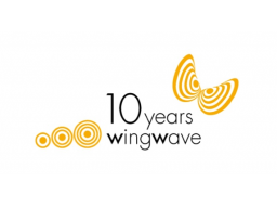 Webinar: wingwave® coaching
