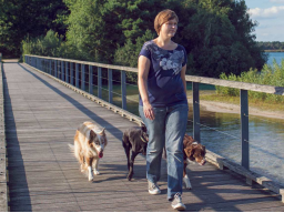 Webinar: Hunde wirksam führen: Teil 2 - 4 (Termine vormittags)
