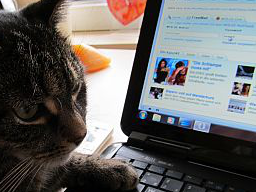 Webinar: Easygoing marketing - Newsletter1