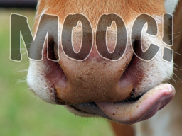 Webinar: Hast Du heute schon geMOOCt?