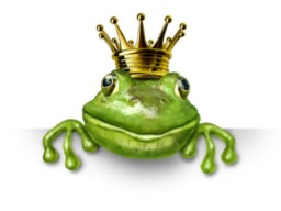 Webinar: Es war einmal...