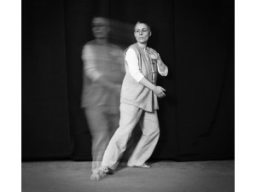 Webinar: Tai-Chi-GODO® Teil 9