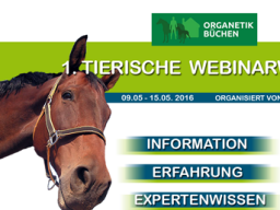 Webinar: Organetik am Pferd (Israel Kaatsch)