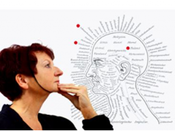 Webinar: Eine Reise auf die kleinste Bühne der Welt!