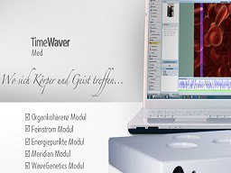Webinar: Erfolgreicher und ganzheitlicher Therapeut