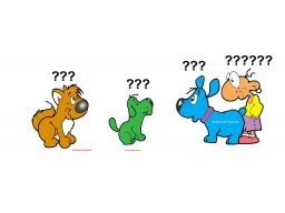 Webinar: Fragen zum Welpen und zur Welpenerziehung