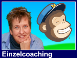 Webinar: Einzelcoaching - MailChimp