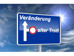 Webinar: Gute Vorsätze - nur Schall und Rauch?