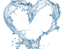 Webinar: Die Schlüsselrolle des Wassers für Gesundheit & Wohlbefinden