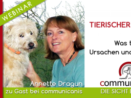 Webinar: Tierischer Juckreiz | Referentin Annette Dragun