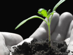 Webinar: 23.Mai 19:00 Uhr - Mit was selbständig machen?