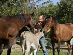 Webinar: Emotional Touch - Die Anwendung