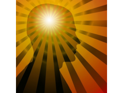 Webinar: The Secret Workshop Mentaltraining